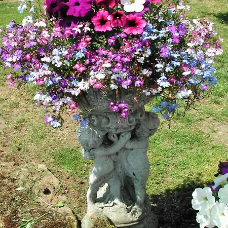 게스트하우스 Whitehaven