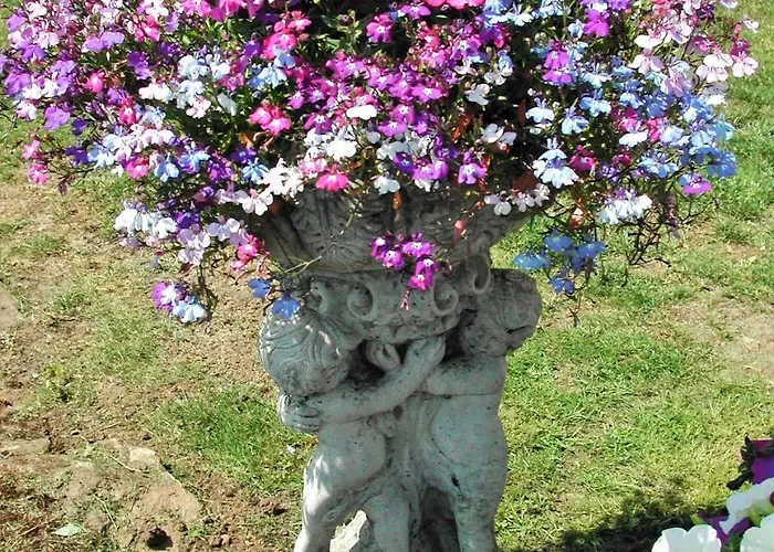 בית הארחה Whitehaven